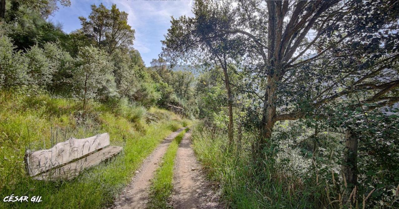Casa Rural Chao De Castro Riodeporcos Екстер'єр фото